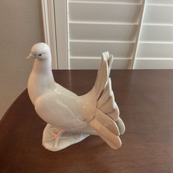 Llardo