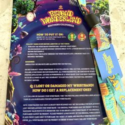 Beyond wonderland ticket