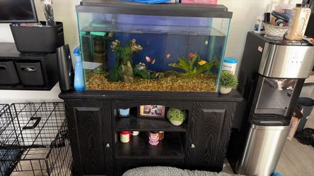 Make an offer! Fish tank 25 gallons