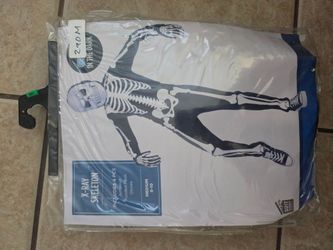 X-Ray skeleton