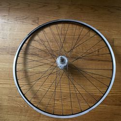 Fixie Rear Wheel