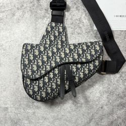 Dior Black and Gray Belt Bag with Iconic Design