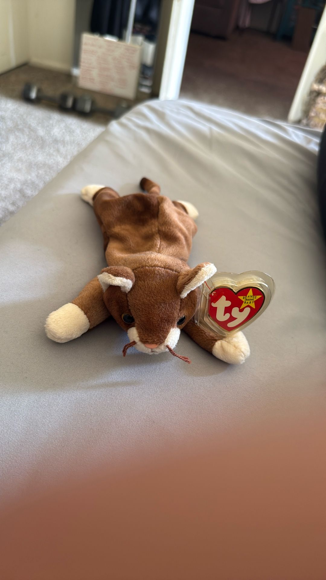 Pounce Beanie Baby 1997 Tag Error