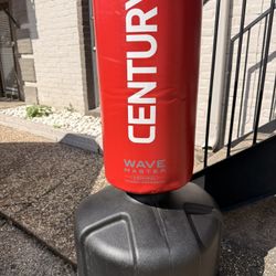 Stationary Punching Bag 
