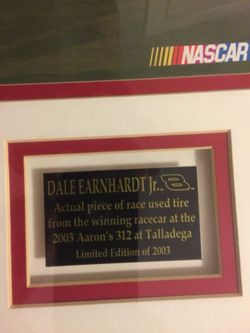 Dale Earnhardt Jr