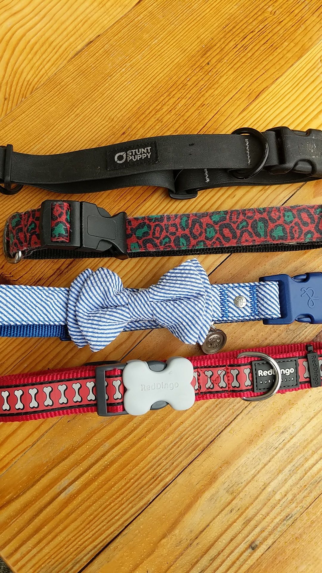 Medium to Large Dog Collars