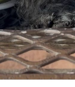 Metal Mesh Patio Table