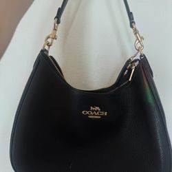 Coach Teri Hobo Bag