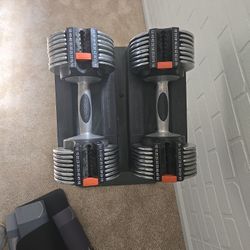 Weider Core Space Saver 100 adjustable dumbbells,
