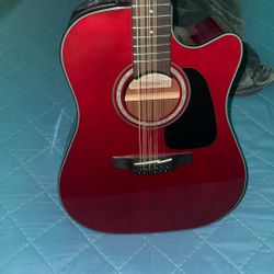 takamine g series 