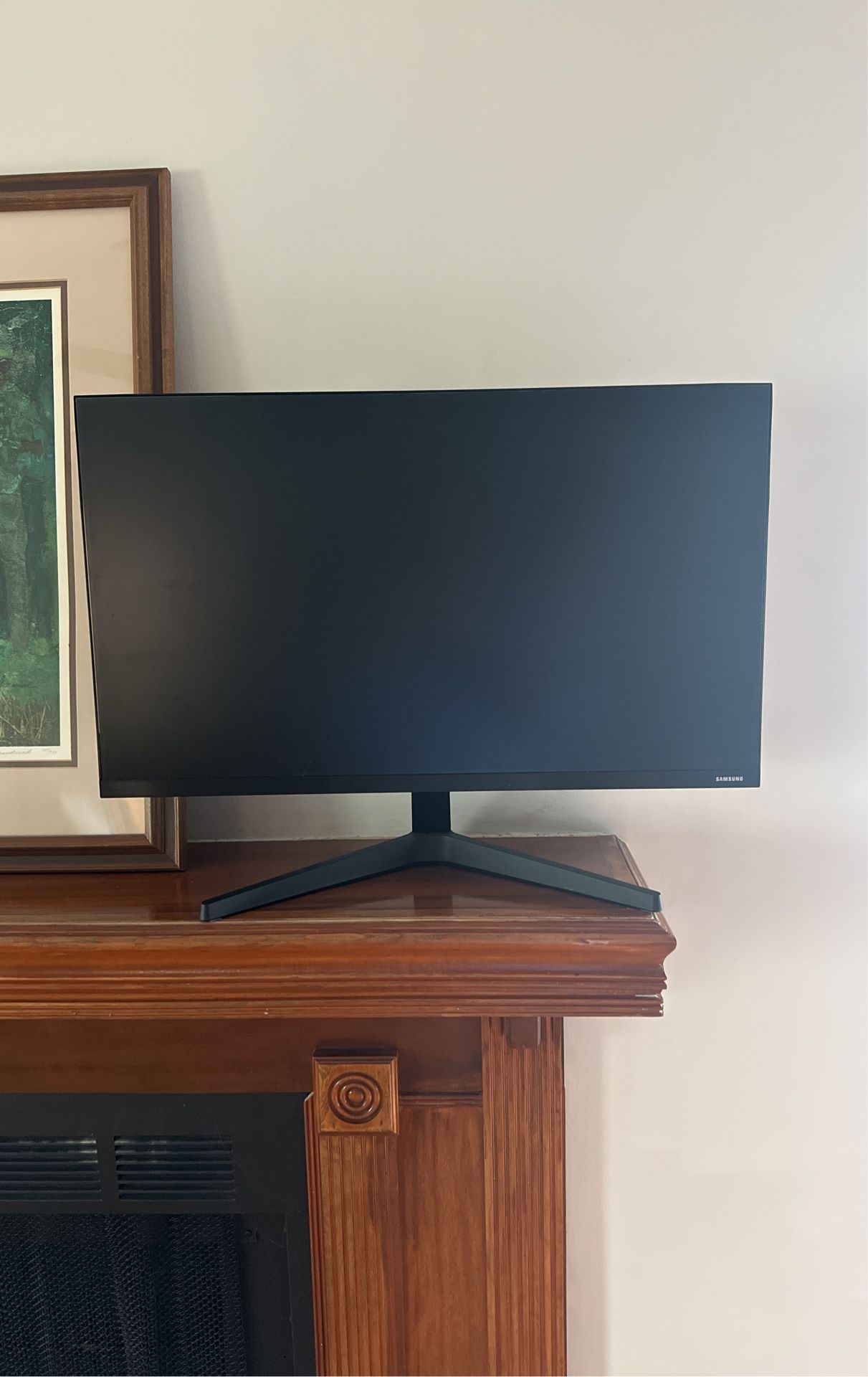 Computer Monitor