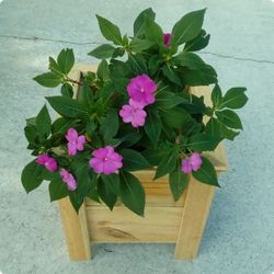 BEAUTIFUL (NEW) CUSTOM BUILT WOOD PLANTER