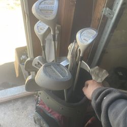 Pro Staff Ladies Full Set Golf Club 