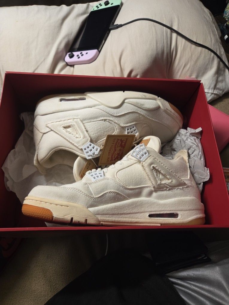 Jordan Levi 4s