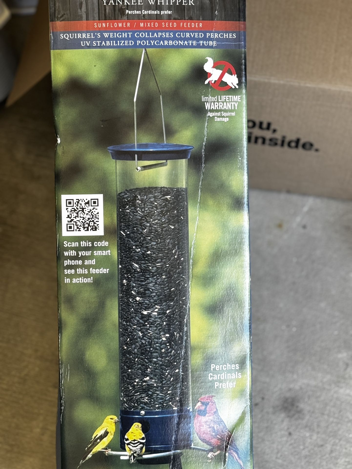 Bird Feeder Droll yankee