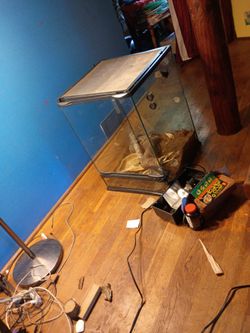 Gecko enclosure