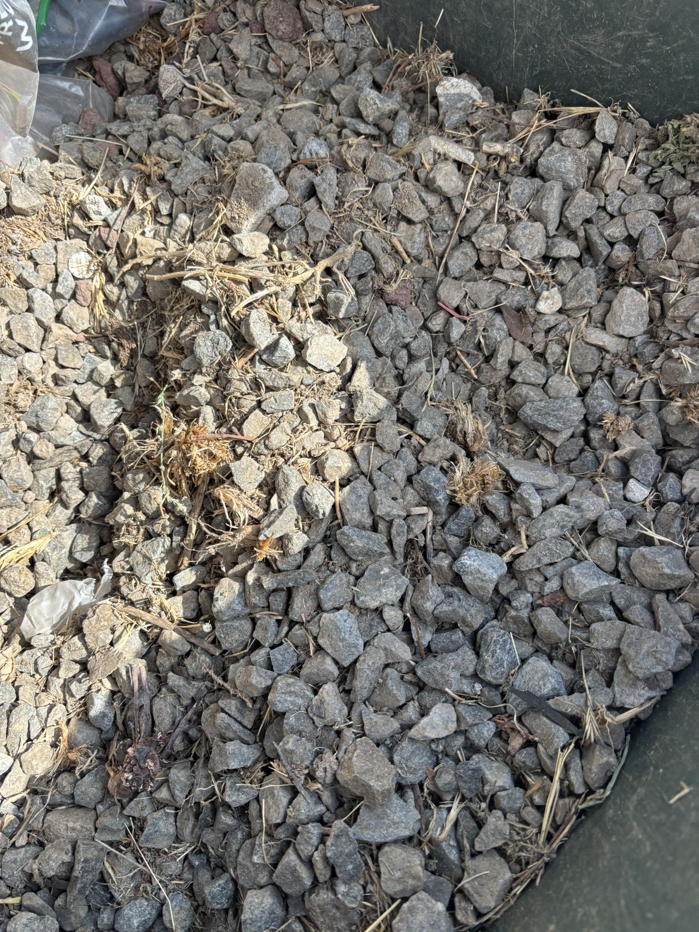 Free Rocks