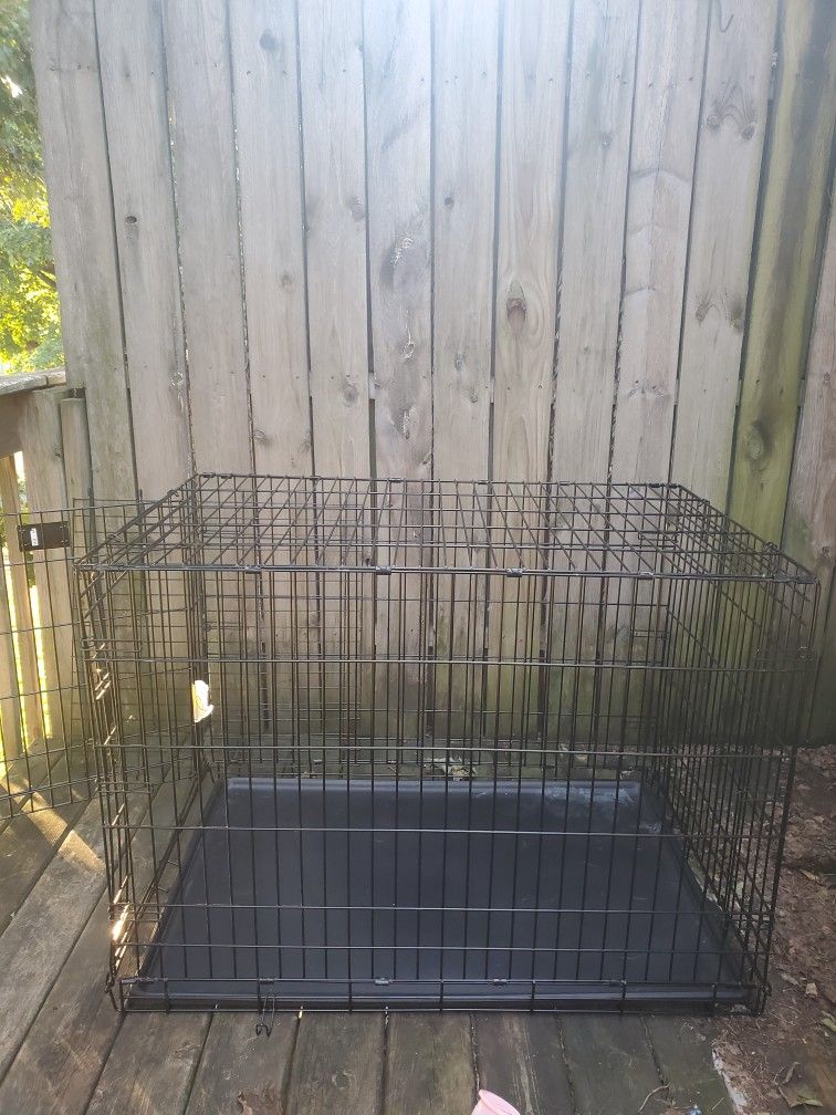 Dog Cage 