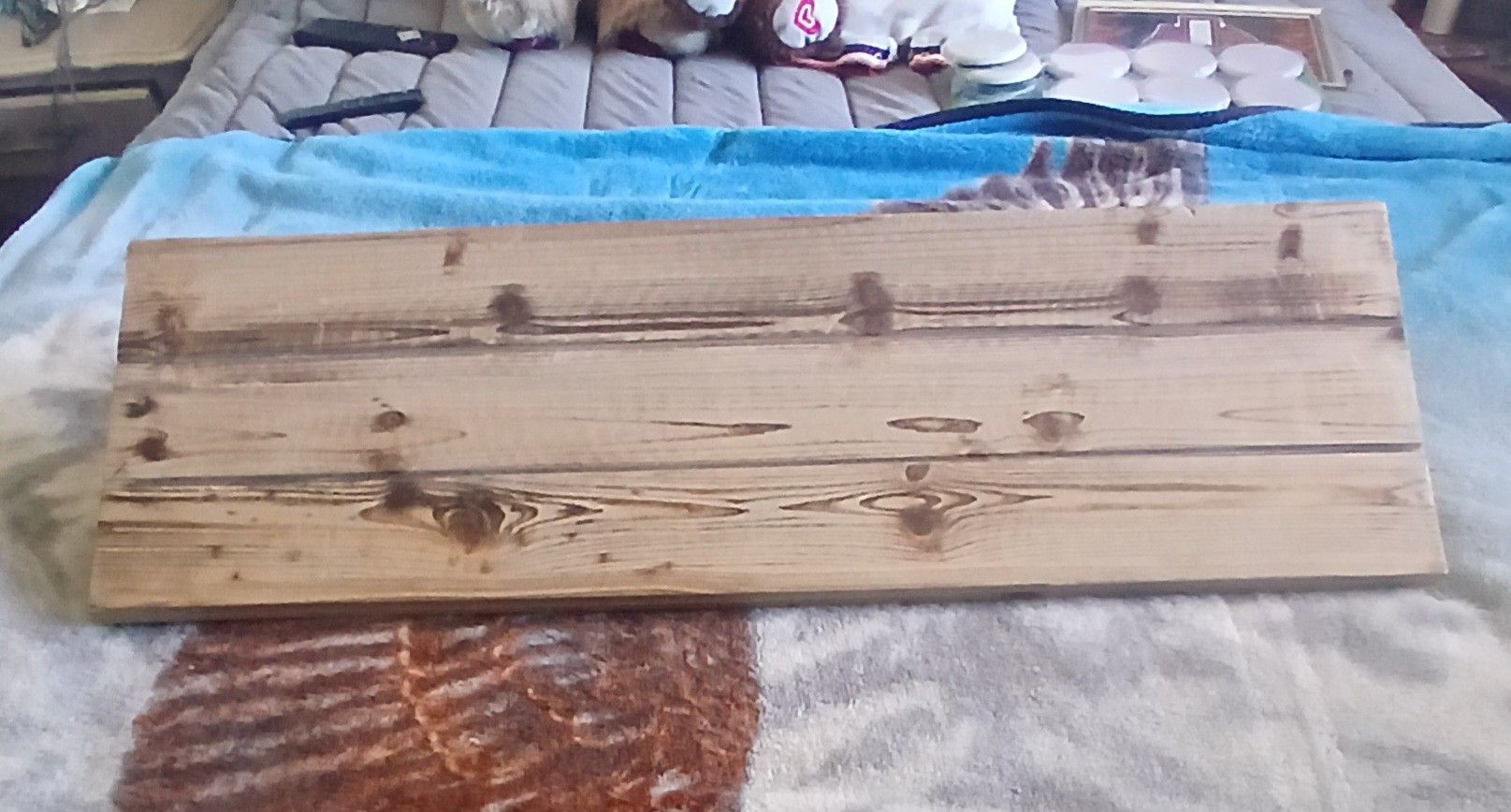 Shelve