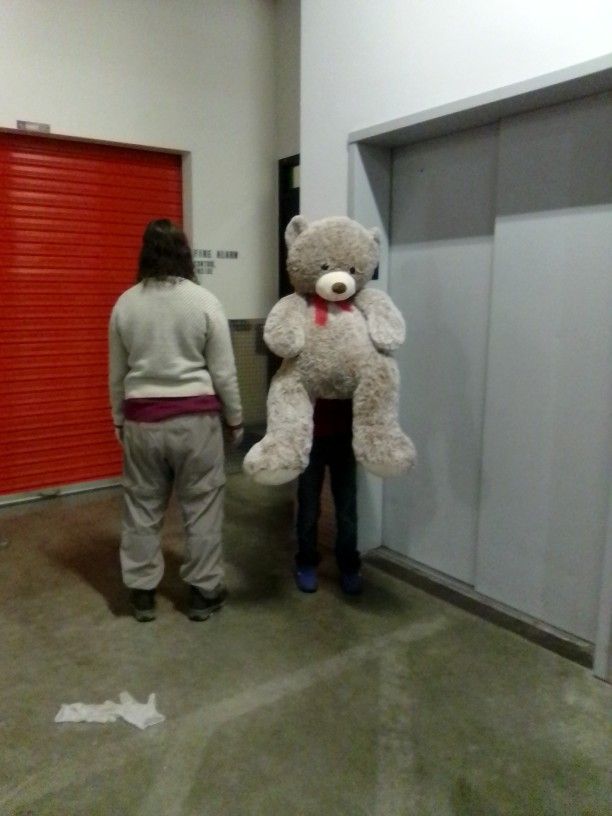 Giant Almost Life-size Bear