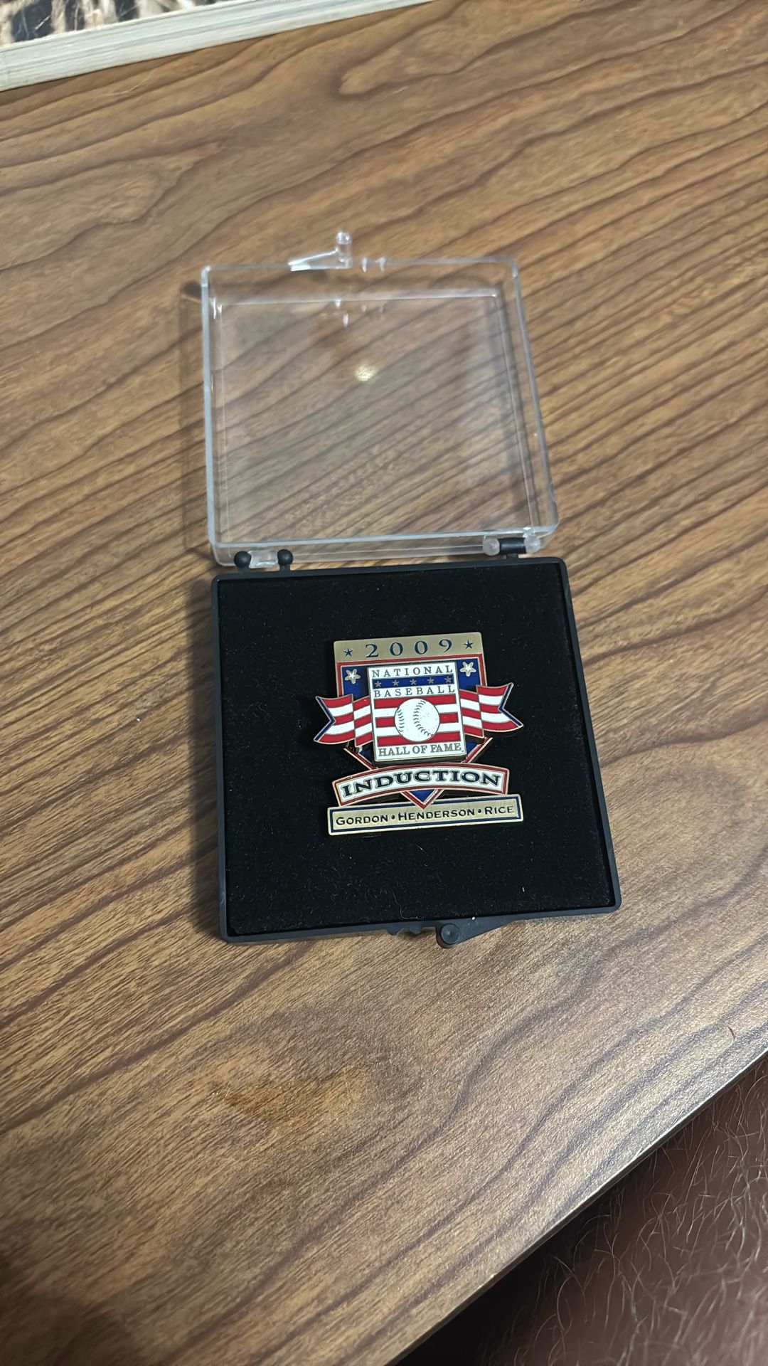 Baseball HOF Pin 2009