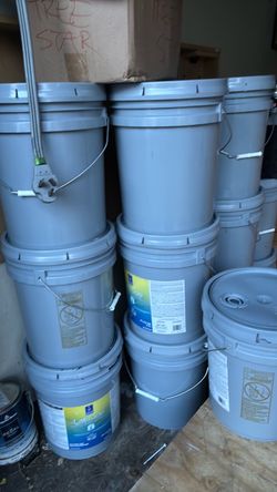 5   Gallons paint