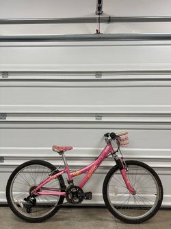 Trek MT 220 24” Youth Mountain Bike with Basket