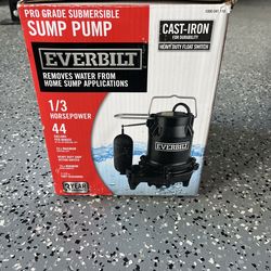 Everbilt Cast Iron Sump Pump
