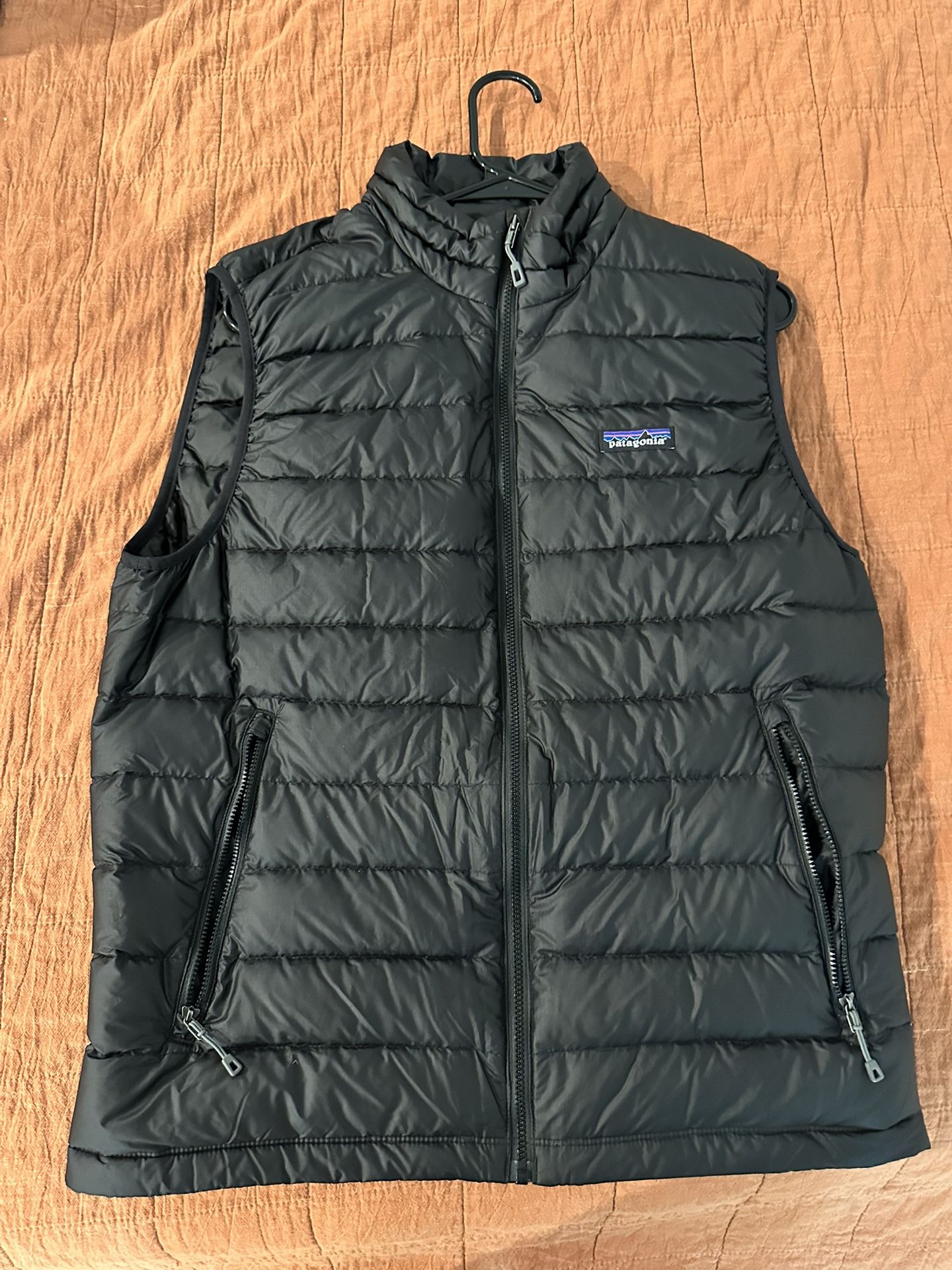 Patagonia Down Sweater Best