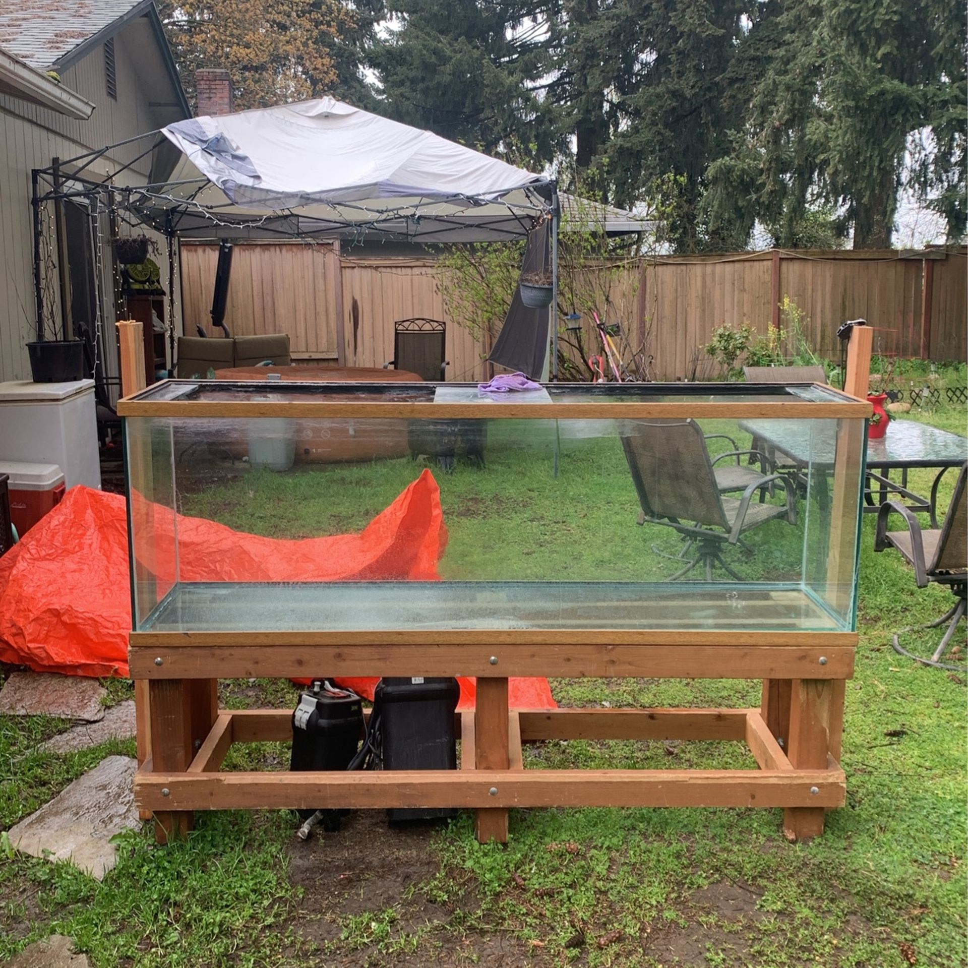 Fish Tank 