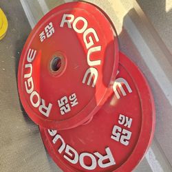 Weight Rogue Calibrated Plates 