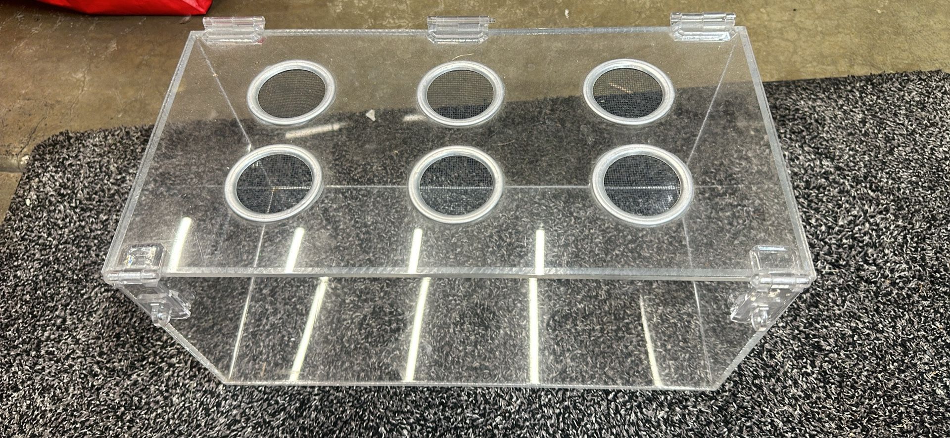 acrylic enclosure terrarium