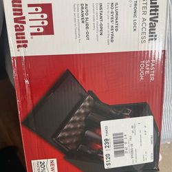 Vault safe
