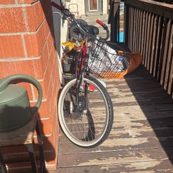 Manhattan Bike for sale 