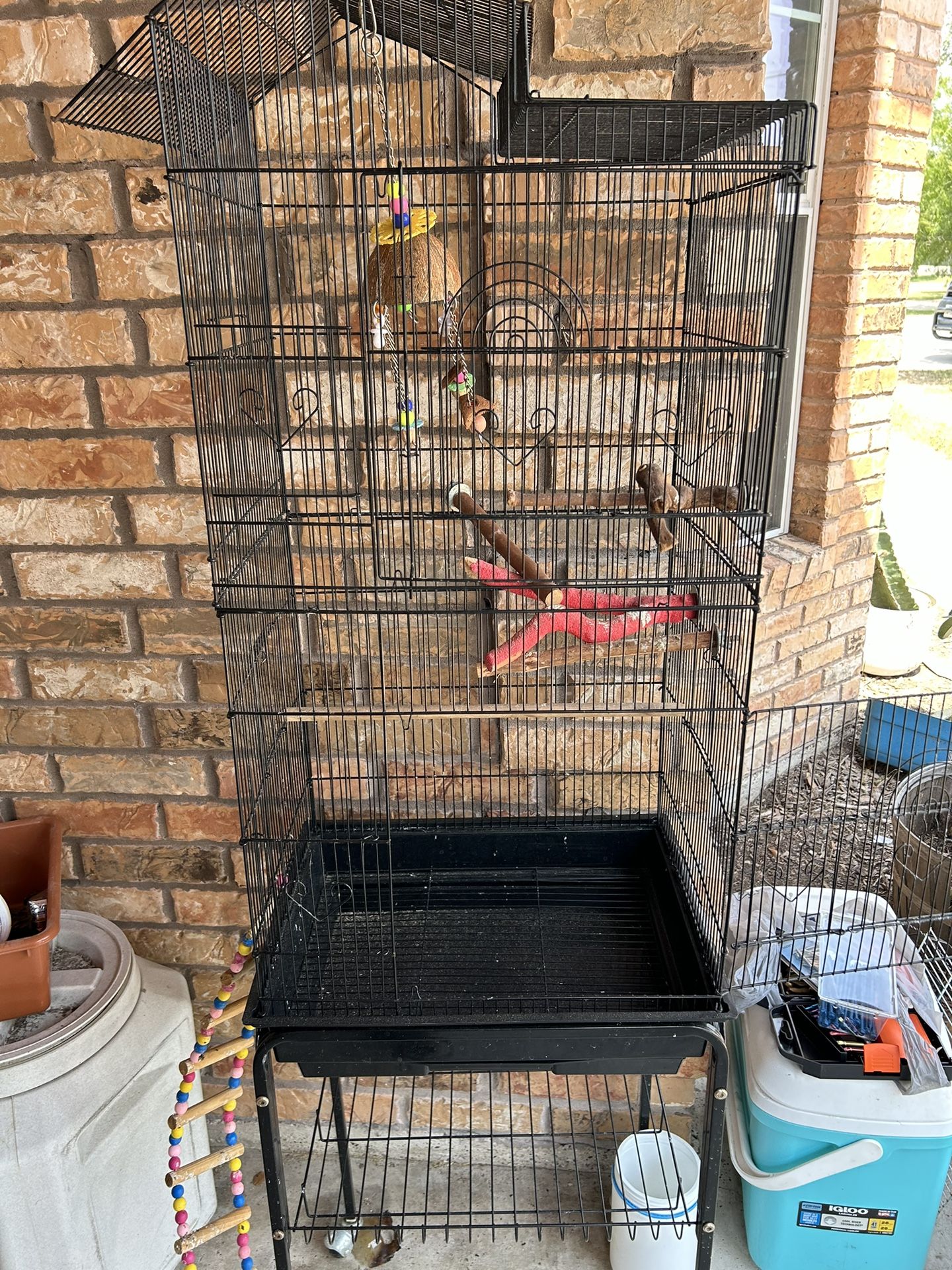 Bird Cage