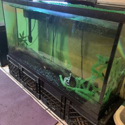 75 Gallon Fish Tank 