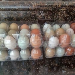 Farm Fresh Eggs available!