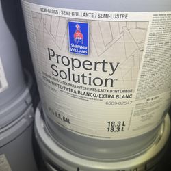 White Paint (5) 5 Gallon Buckets