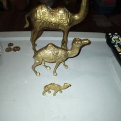 Picking Upp All Free Copper And Brass