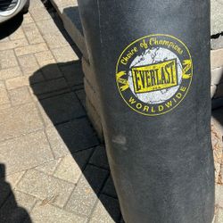 Everlast Punching  bag