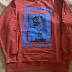 Alexander McQueen Sweater