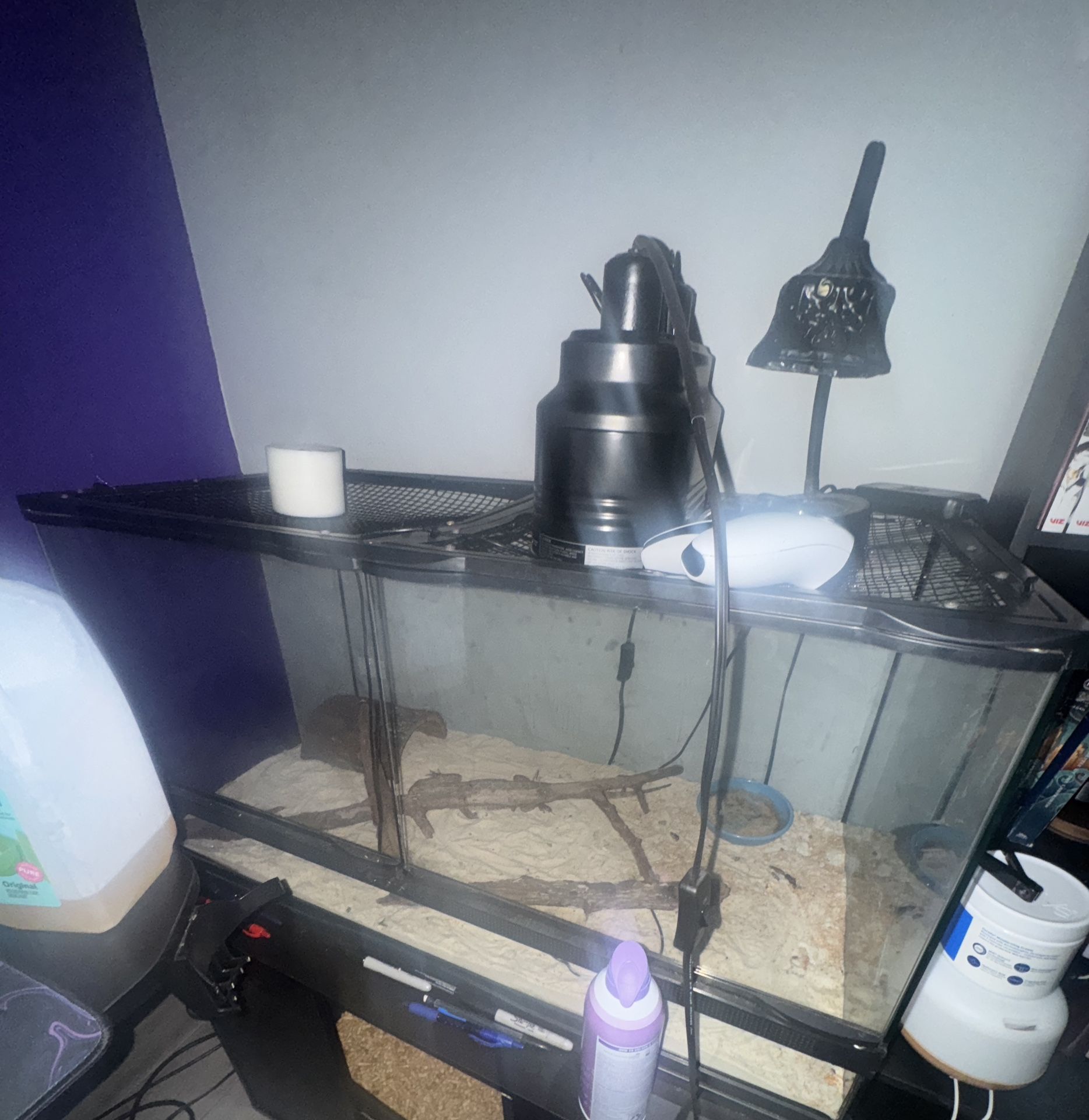 40 Gallon Lizard Tank