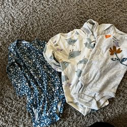 Baby Girl Long Sleeves 