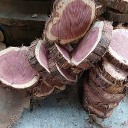 Cedar Slices And More 