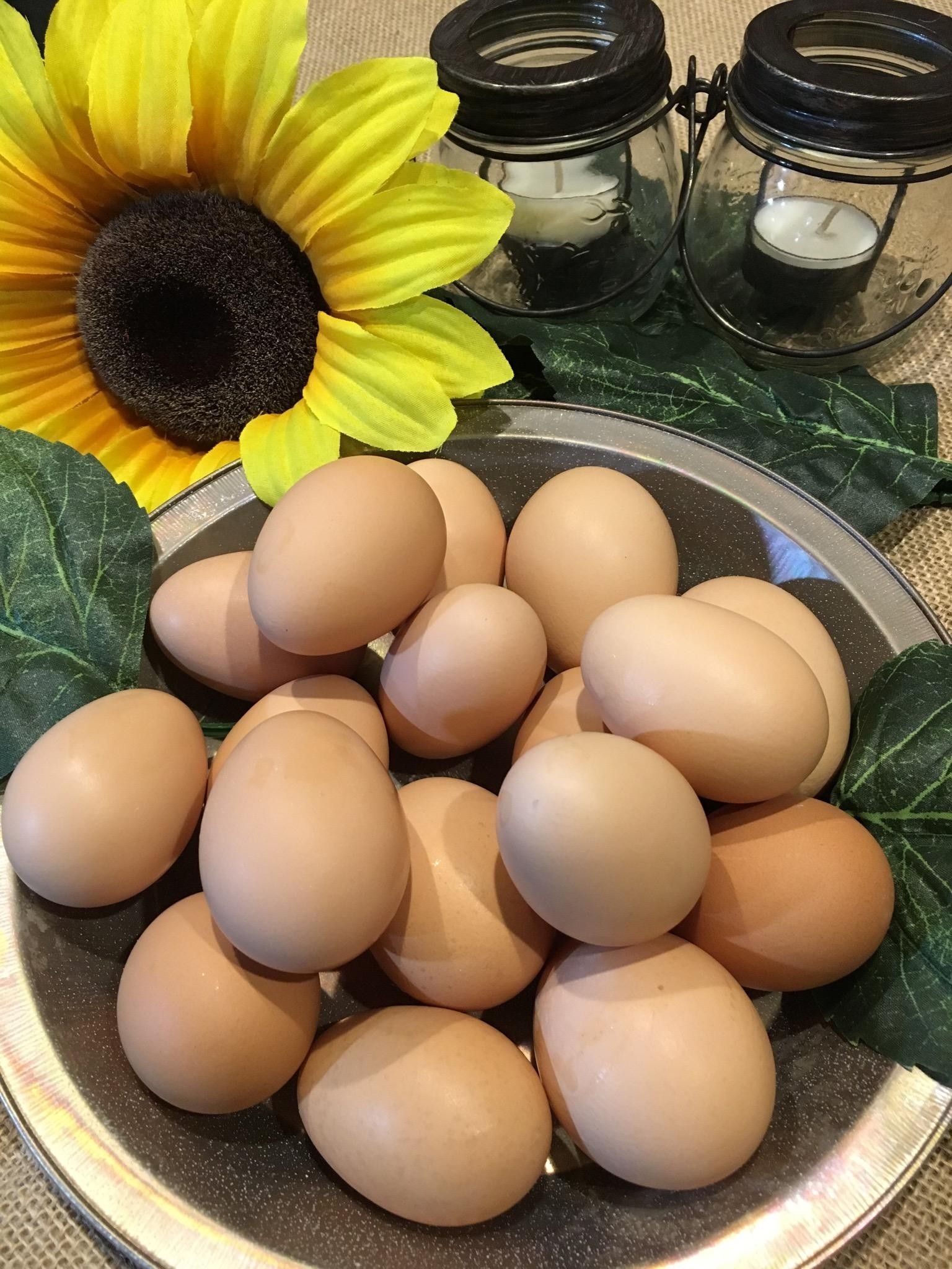 Organic free range eggs