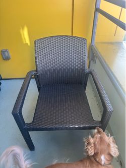 Patio Chairs