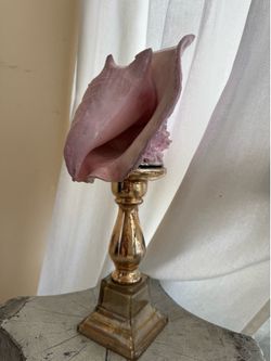 Pink conch sea shell on glass silver pedestal sculpture