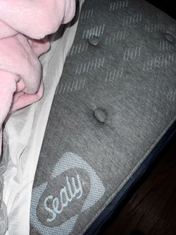 Sealy Mattress