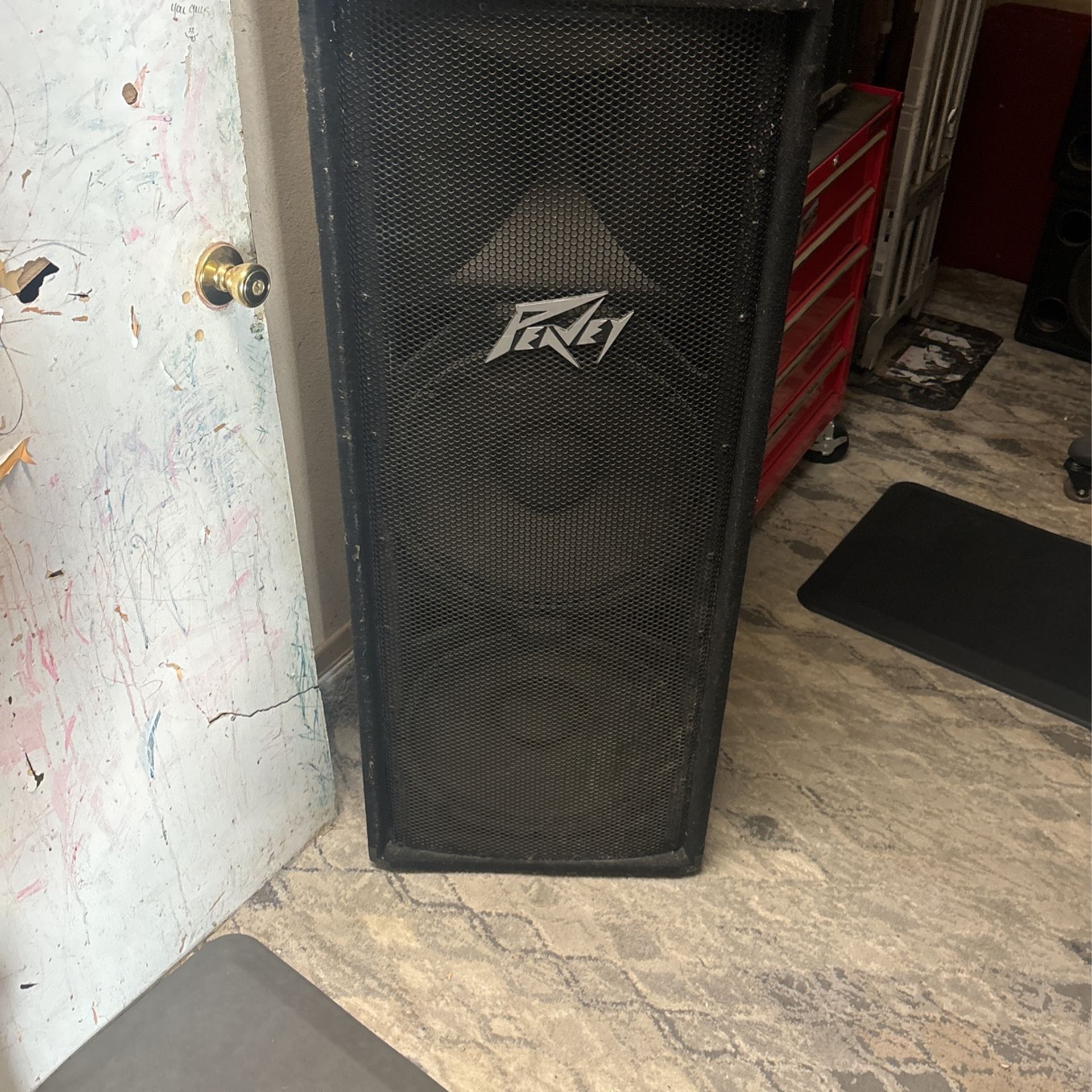 Peavey PV215 speaker