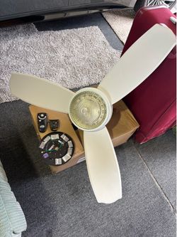 Bring Fan for Sale